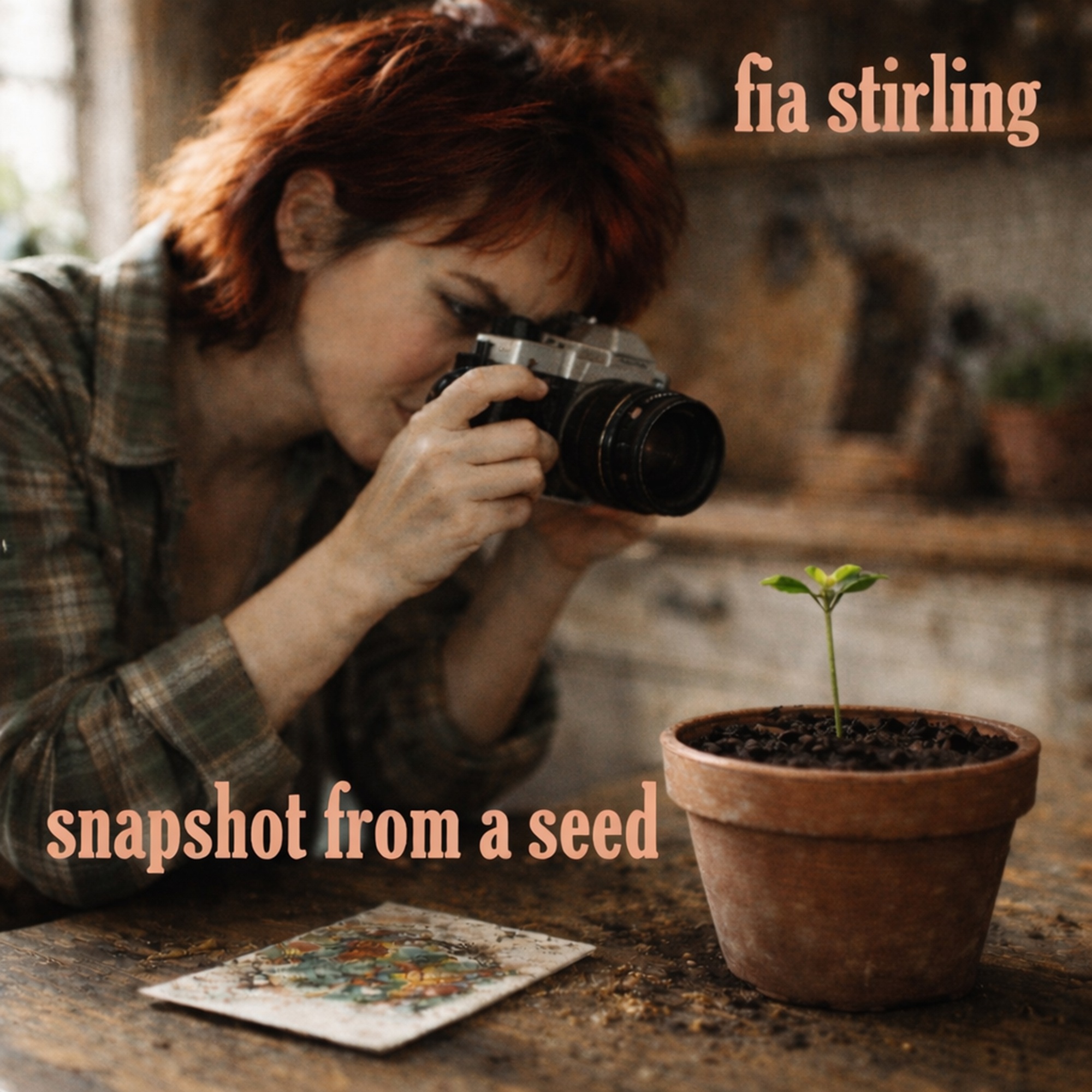 Snapshot From A Seed